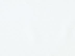 Иллюзия белая